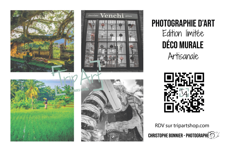 Carte de visite TripArt